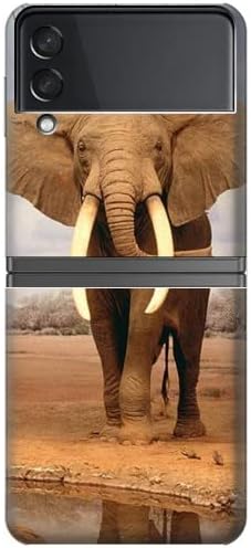 R0310 Калъф с Африкански слон за Samsung Galaxy Z Flip 4