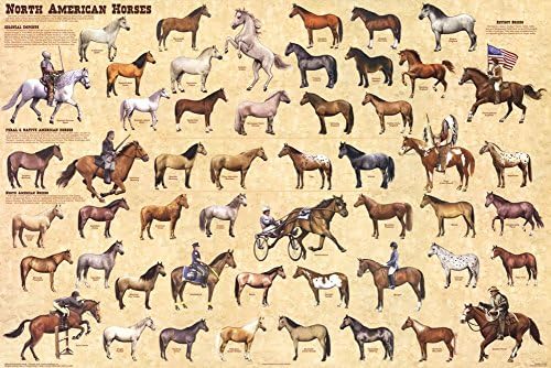 Ламиниран Плакат с изображение на Северна америка коне и животни Ламиниран Плакат 36 x 24 инча