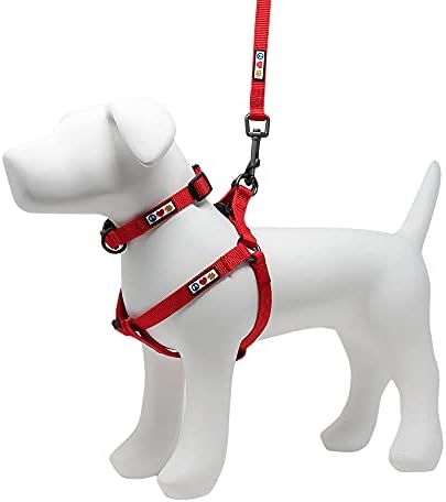 Комплект Pawtitas Value Пакет Set | е Много Малка Стъпка в Кучешки изделия + Много Малък нашийник за кучета + Много Малък 6-крак каишка за кучета - Червен Комплект