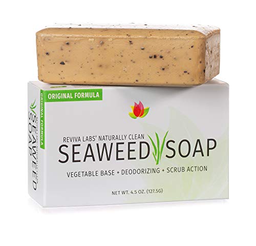 Сапун от морски водорасли Reviva - 2 опаковки - Органичен Ексфолиант за лице от морски водорасли и Ексфолиращ Скраб за тяло - 4,5 грама.