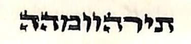 супер Стам еврейски Амулет, написани от ръката на קמעי Parchmen מר לרפואה' צבי הירש מזידיטשוב(Бял refuah sheleimah)